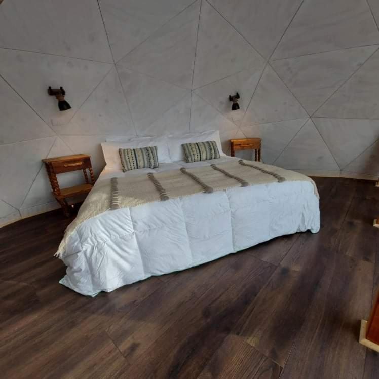 פורטו נטאלס Dome With Stunning Glacier & Mountain Views מראה חיצוני תמונה
